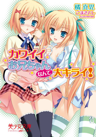 カワイイお兄ちゃんなんて大キライ！