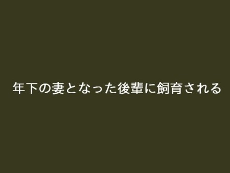 d_088656pr